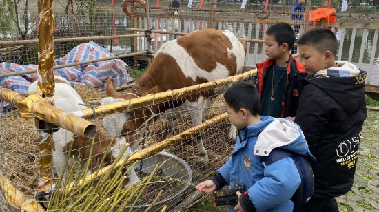 中国新闻网||衡阳石鼓区角山镇首届春社民俗文化活动周启动