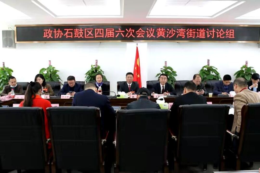 刘浪参加人大政协团组审议讨论