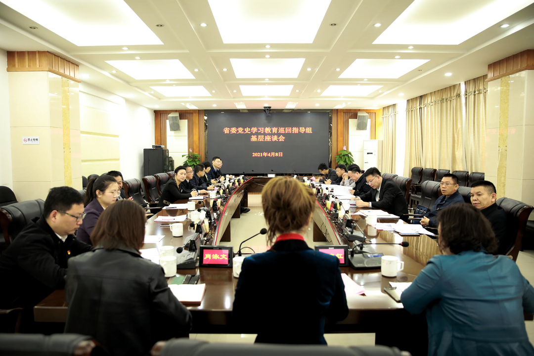 省委党史学习教育巡回指导组第九组调研指导石鼓区：要走在前列、引领风尚、树立标杆