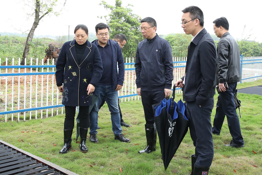 刘浪调研角山镇污水处理项目
