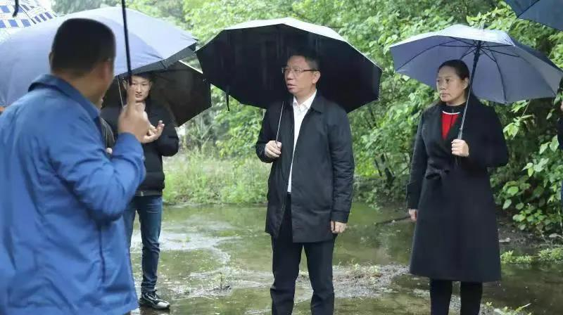 刘浪：让绿色成为石鼓区高质量发展的鲜明底色