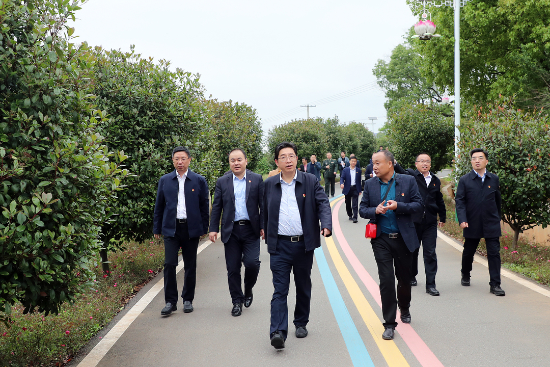 有深意！市委理论学习中心组第二次专题学习在石鼓这个村召开......