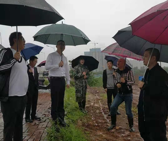 区领导带队现场调度防汛工作