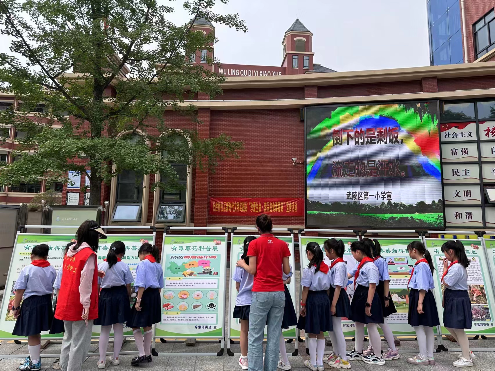 穿紫河街道开展“珍爱生命 禁采误食毒蘑菇”安全教育活动