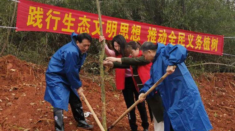 植树节将至！县领导带头参加文明实践义务植树活动