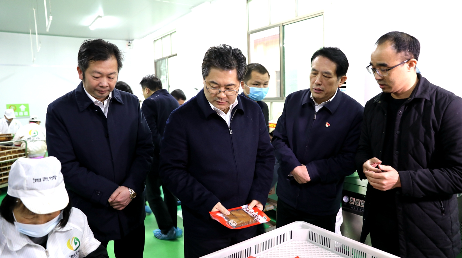 副省长隋忠诚来攸调研春耕生产和脱贫攻坚工作