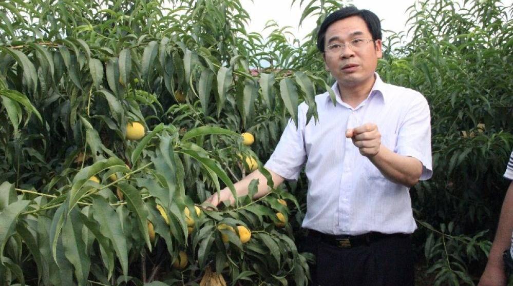 “为脱贫而来，为脱贫而去”——追记湖南炎陵县委原书记黄诗燕