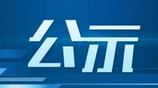公示