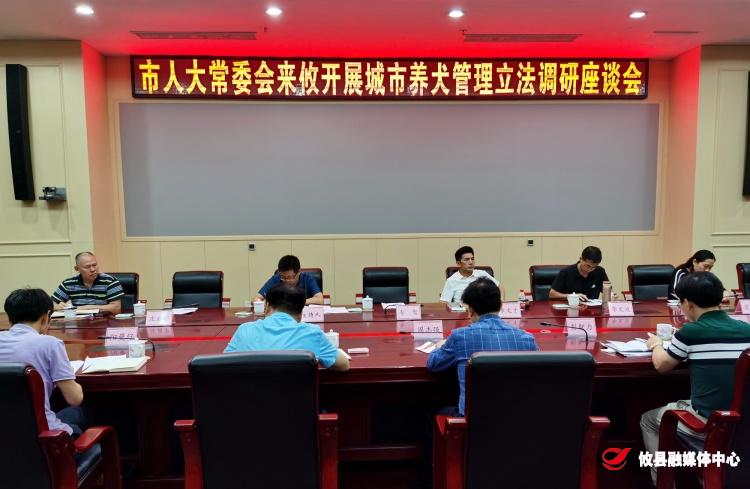 如何规范城市养犬？一起来讨论讨论