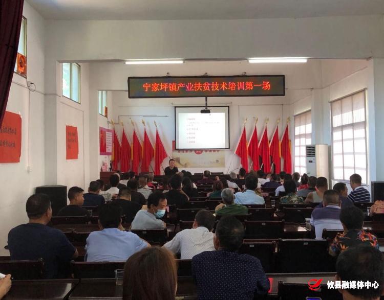 宁家坪镇：牵住“需求”这一牛鼻子　推动产业扶贫