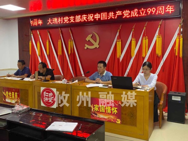 庆“七一”：网岭镇大瑞村“固本强基”筑牢基层战斗堡垒