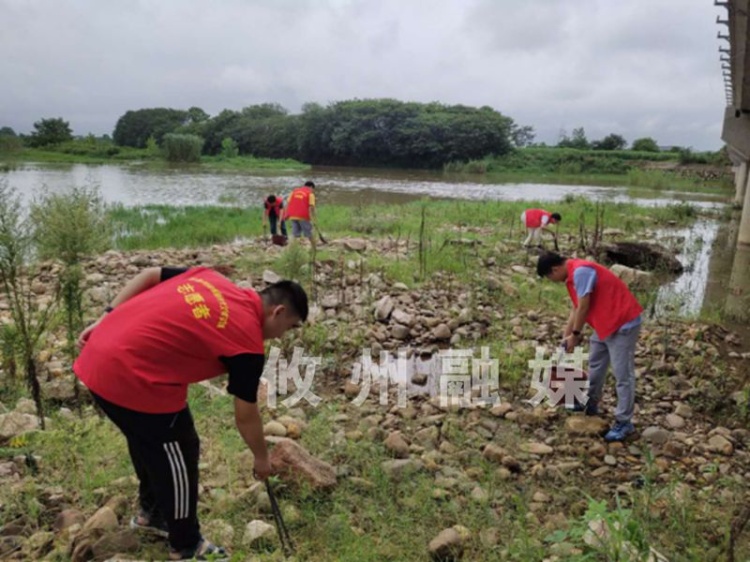 【网岭镇】落实河长制　巡河志愿者在行动
