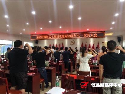 我和党在一起！菜花坪镇“七一”这样过