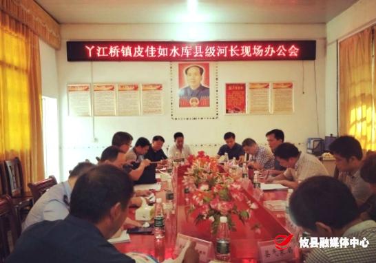 县领导主持召开丫江桥镇皮佳如水库县级河长现场办公会