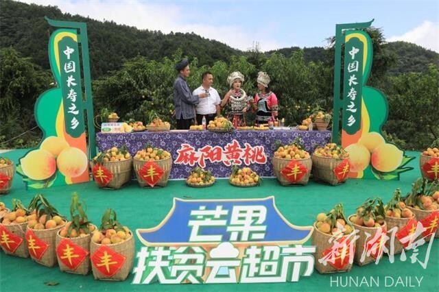 “云端”助力　麻阳黄桃销售“火”