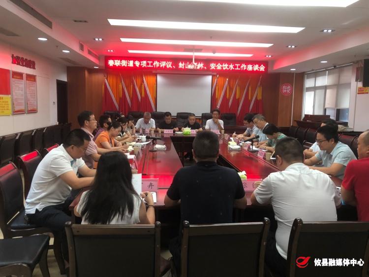 县领导到春联街道开展专项工作评议、封山育林、安全饮水工作座谈会