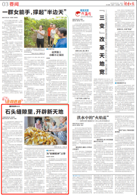 走向胜利·决战决胜乡村述说丨石头缝隙里，开辟新天地