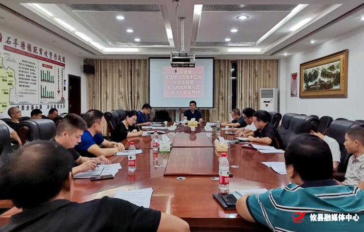 贯彻落实全会精神丨石羊塘镇传达学习县委十二届十次暨十七届县人民政府八次全体（扩大）会议、“2.11”案件专项督导会议精神