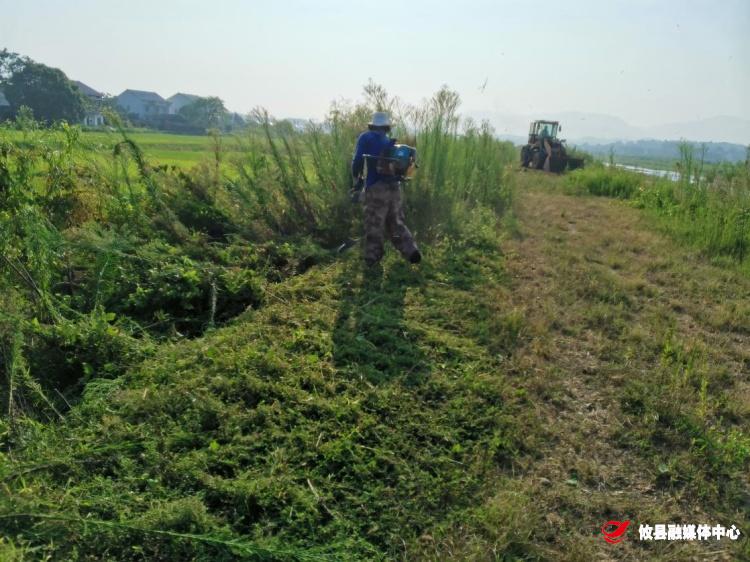 【联星街道】沙陵陂村：旧貌换新颜