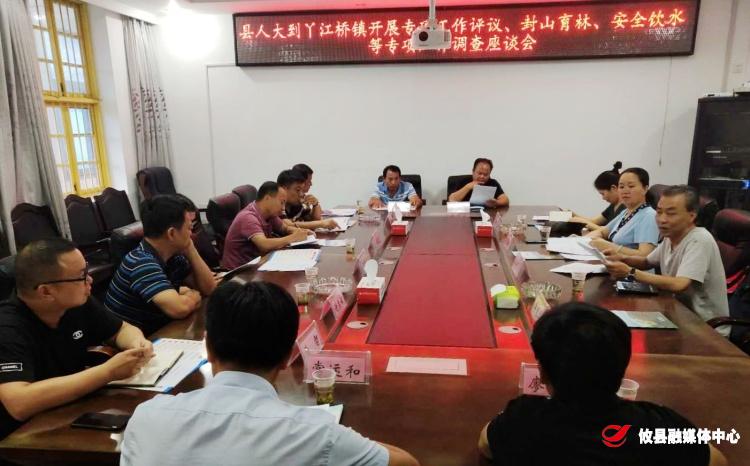 县人大一行到丫江桥镇开展专项工作评议、调查