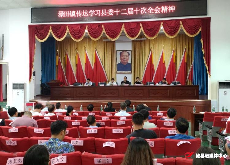 贯彻落实全会精神丨渌田镇传达学习县委十二届十次暨十七届县政府八次全体（扩大）会议精神