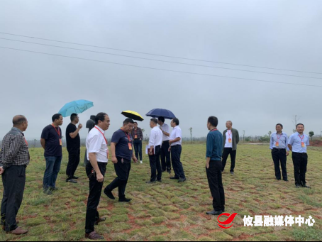 网岭镇开展民生实事项目人大代表视察活动