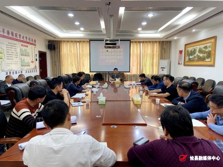 石羊塘镇召开学习贯彻习近平总书记在湘考察调研时的重要讲话精神会议