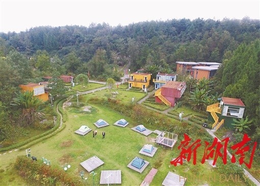 走向胜利·决战决胜乡村述说丨“桃花岛主”底气足