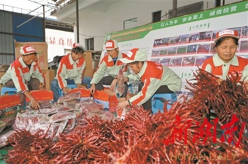 走向胜利·决战决胜乡村述说丨种出“红火”的日子