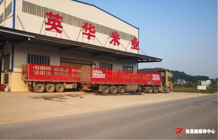 网岭镇：金秋十月 消费扶贫正当时