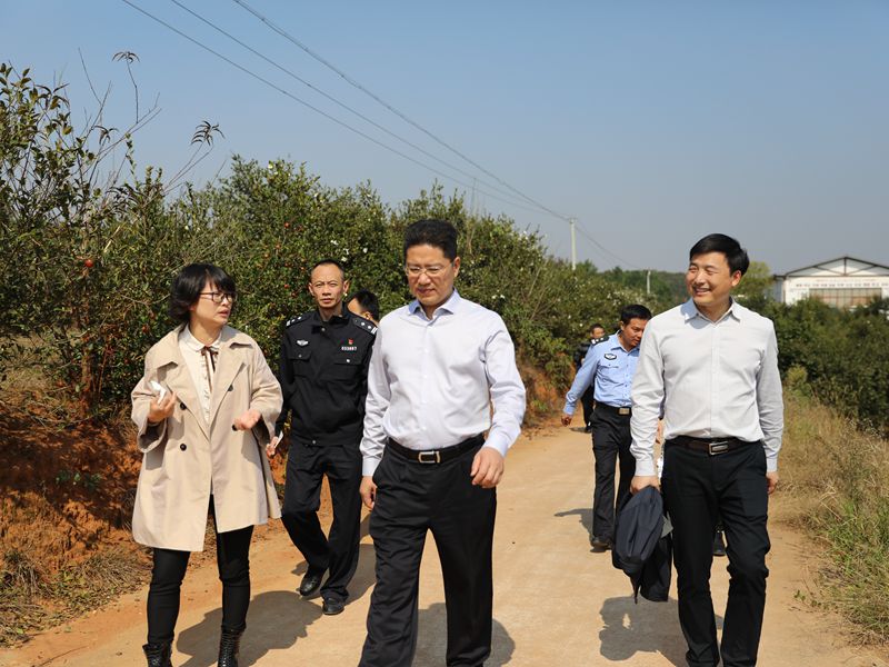 县领导督查维护油茶收摘秩序和森林防火工作