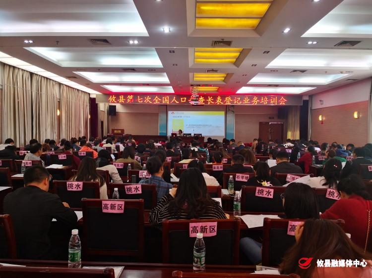 攸县第七次全国人口普查将进入长表填报阶段