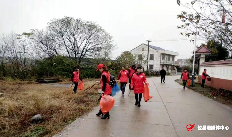 网岭镇开展“爱护环境·清洁家园”志愿服务活动