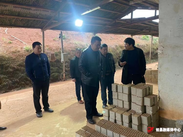 新市镇开展安全生产大排查大管控大整治行动