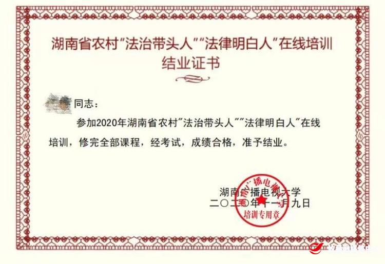 网岭镇圆满完成湖南农村“法律明白人”在线培训