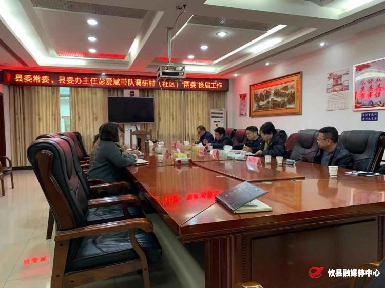 县领导到石羊塘镇老虎岩等村调研指导村（社区）“两委”换届工作