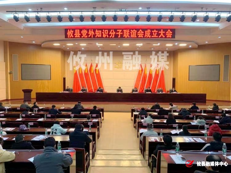 攸县召开党外知识分子联谊会成立大会