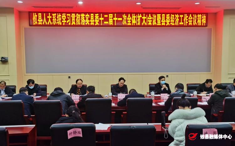 攸县人大常委会党组组织全县人大系统学习贯彻落实县委十二届十一次全体（扩大）会议暨县委经济工作会议精神