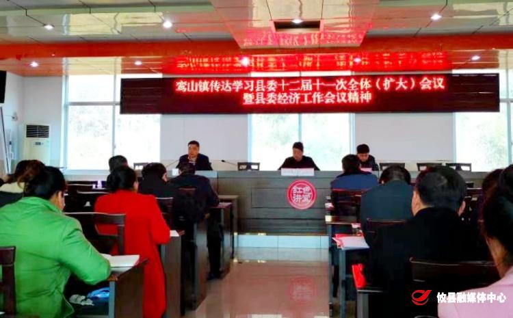 鸾山镇传达县委十二届十一次全体（扩大）会议暨县委经济工作会议精神