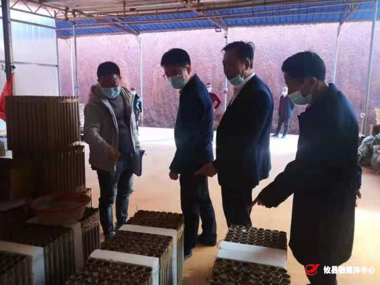 县领导到皇图岭镇督查安全生产工作