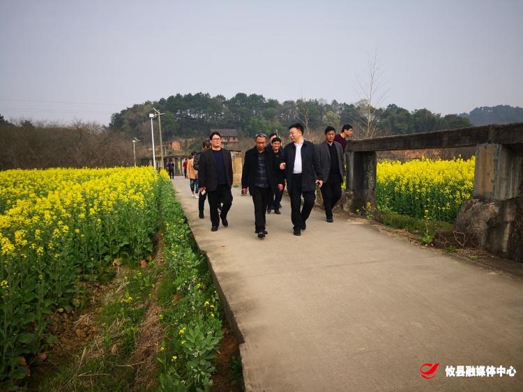 县领导率队到清江部分河段开展巡河工作