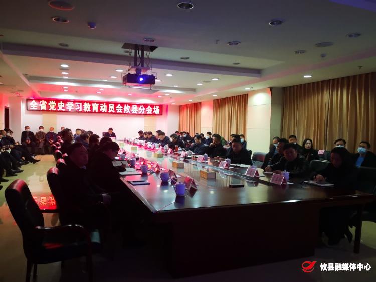 湖南省党史学习教育动员会召开 攸县组织在分会场收看收听