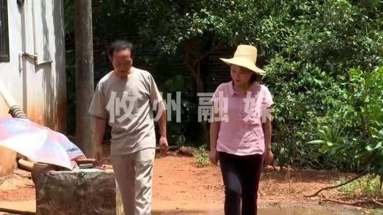 全国脱贫攻坚先进个人唐华容：半年摘掉存养村“软弱涣散”的帽子