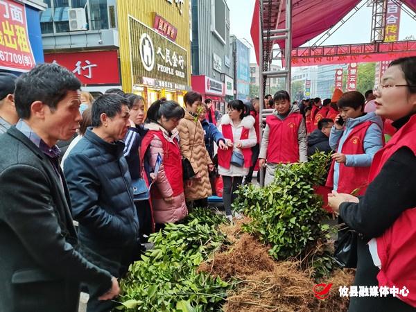 雷锋家乡学雷锋：县林业局开展送果苗下乡活动