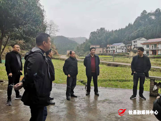 吴爱清带队到网岭镇沙峰村现场调研民生实事票决制项目