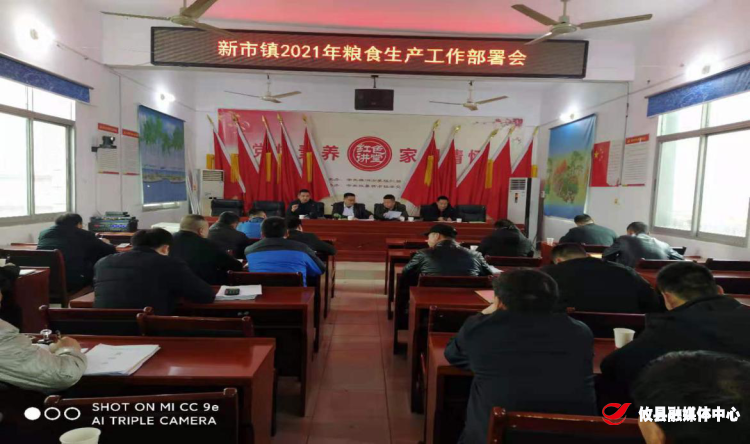 新市镇：立足“早”字、抓实粮食生产