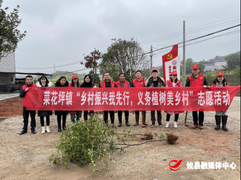 【党旗下的新时代文明实践】菜花坪镇开展“乡村振兴我先行，义务植树美家园”志愿服务活动