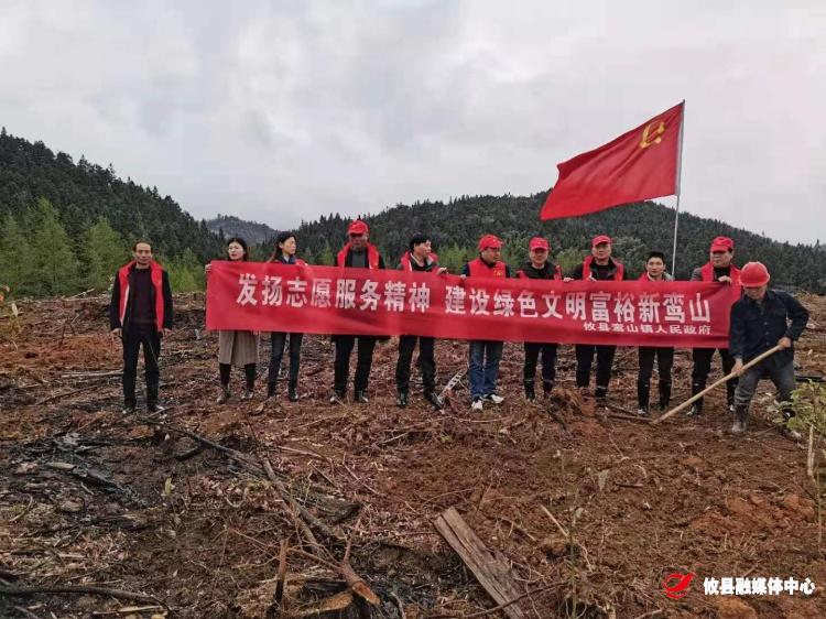 【党旗下的新时代文明实践】鸾山镇：一树新栽益四邻，鸾山处处添生机