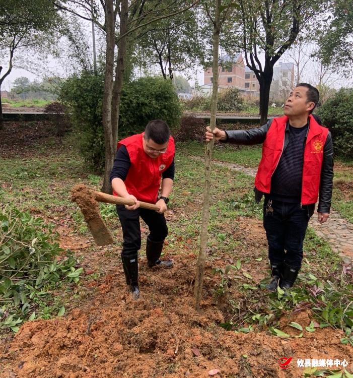 网岭镇：雷锋家乡学雷锋·义务植树美家乡