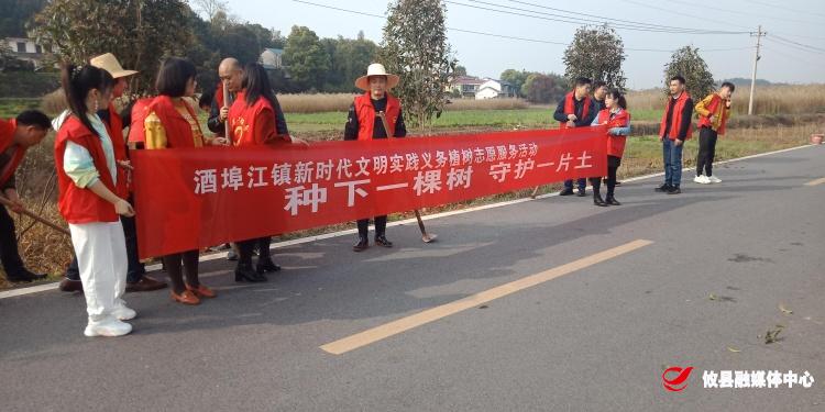 酒埠江镇：种下一棵树 守护一片土